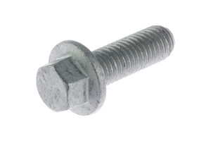 W500024S442 - Bolt M8x25 8.8 Hex Flng