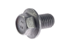 W500031S439 - Bolt M10x16 8.8 Hex Flng