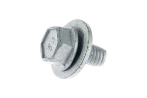W705013S437M - Bolt & Wshr M6x12 Hex WshrHd