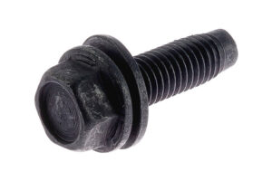 W706636S303XD - SCREW & WSHR M10x30 HF PIL010