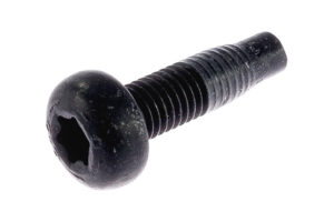 W707941S303 - Bolt M10x29 Pan Torx