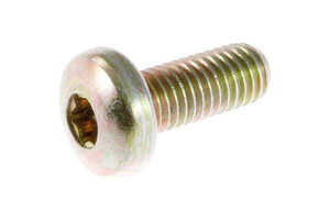 W505543S450B - Bolt M8x20 8.8 Pan Torx