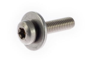 7400992212P02 - Bolt & Wshr M5x20 Pan TorxRVS Gleitmo 925