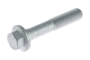 W500123S439 - Bolt M10x55 8.8 Hex Flng