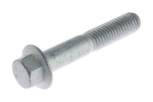 W500523S439 - bolt m10x55 hf 10