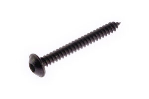 20891183 - Screw 4,2x38 pan flng torx SSN