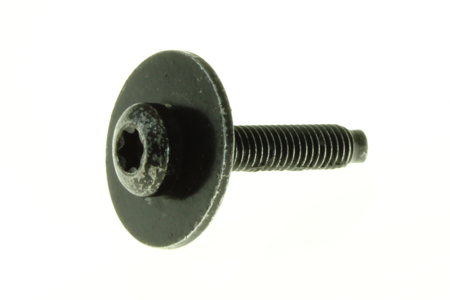 AY00492ADD - M6-1.0x30 TORX PAN HD M/SW/DOG PT W/FLAT WSHR PC 9.8 AY00492ADD - M6-1.0x30 TORX PAN HD M/SW/DOG PT W/FLAT WSHR PC 9.8