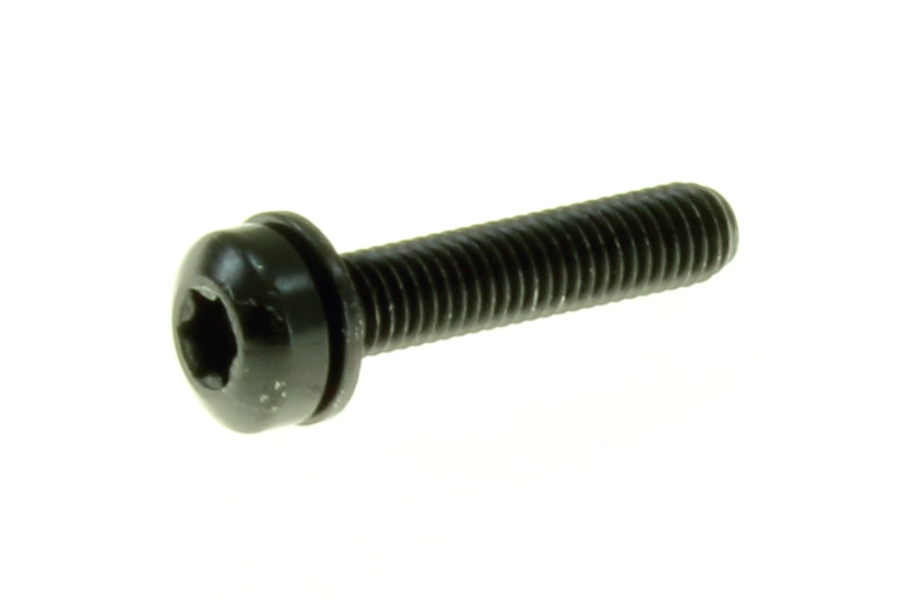 AY00471ADD - M5-0.8x25 T25 TORX PAN HDM/S W/FLT WSHR PC 8.8 ZIB AY00471ADD - M5-0.8x25 T25 TORX PAN HDM/S W/FLT WSHR PC 8.8 ZIB