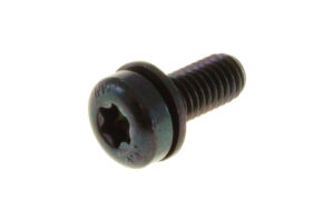 AY00441ADD - M5-0.8x12MM T25 TORX PAN HD M/S W/WASHER PC 4.8 ZIB