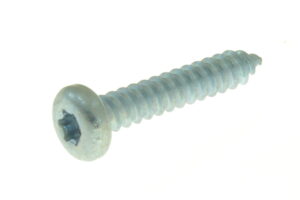 ST00191ADD - #10-16x1.00 TORX PAN HD T/S SST PLN
