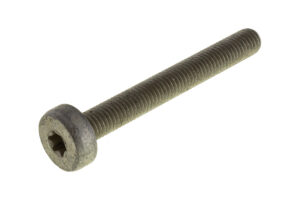 W720490S439 - bolt M10x80 PN TI 10