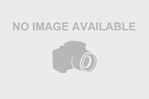 CS00118ADD - CLAMP, QUICK FIST, MINI