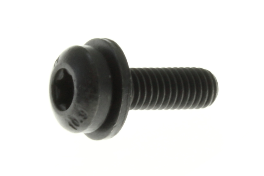 AY00561ADD - M6x1-19.5mm PAN SEMS 6PT LOBE PC9.8 BLZ AY00561ADD - M6x1-19.5mm PAN SEMS 6PT LOBE PC9.8 BLZ